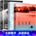 【3册】瓦尔登湖+浮生六记+人间失格 【正版】瓦尔登湖梭罗原著外国经典名著小说文学书籍排行榜八年级书目文学作品集名家家原