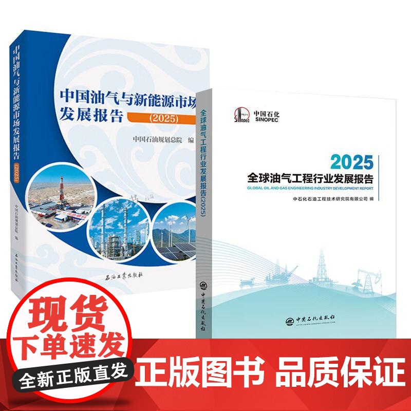 价格错了删了2册中国油气与新能源市场发展报告(2025)中国石油规划总院编+全球油气工程行业发展报告2025