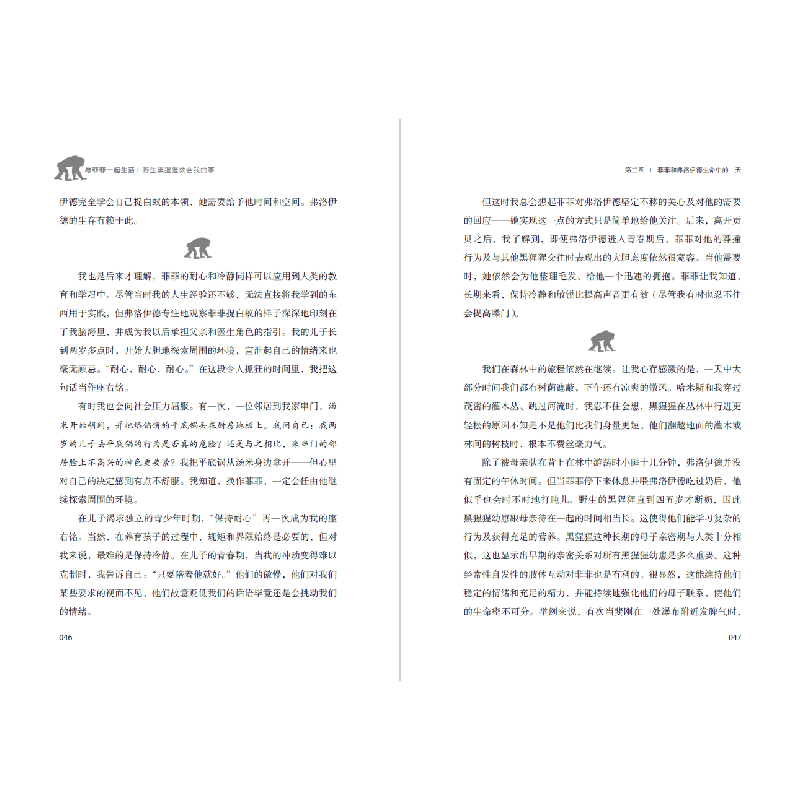 正版新书]与菲菲一起生活 野生黑猩猩教会我的事(美)约翰·克洛克高清大图