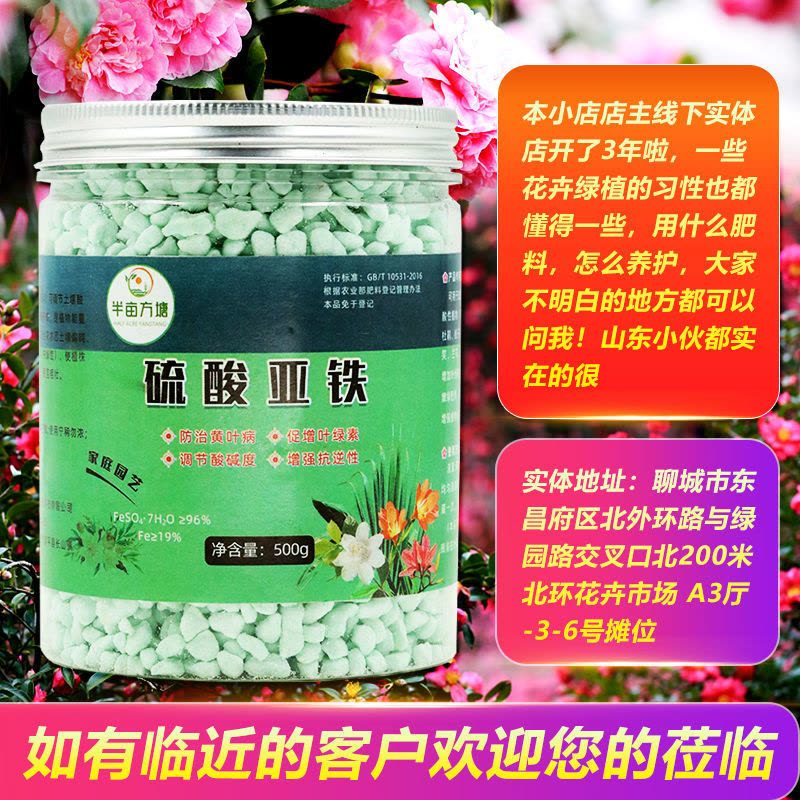 硫酸亚铁柠檬酸花肥养花栀子花杜鹃茶花茉莉黄叶喜酸植物铁肥图片