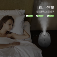 德尔玛(Deerma) 加湿器 F325 升级版卧室空气加湿器家用加湿器客厅家5L大容量杀菌加湿器