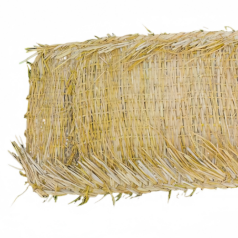 鑫龙都高清大图