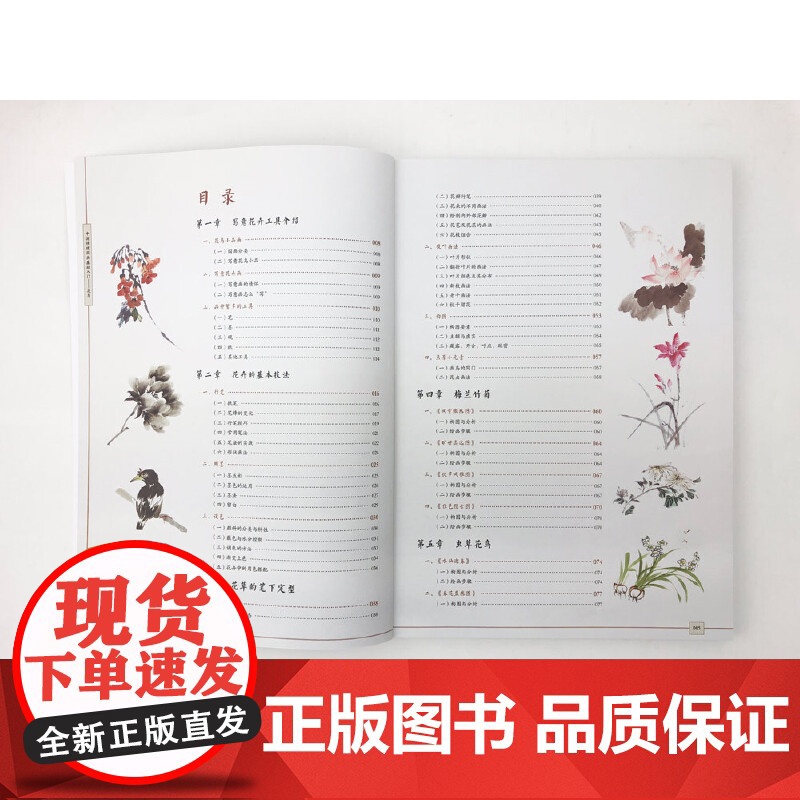 传统中国画基础入门:花鸟篇 飞乐鸟 电子工业出版社 正版书籍高清大图