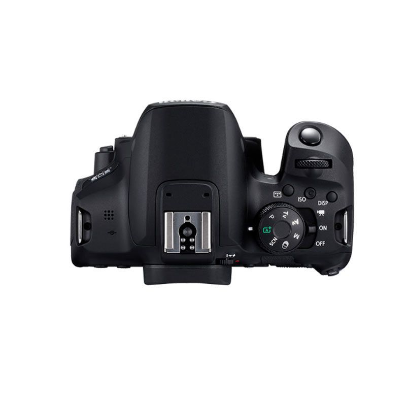 佳能(Canon) EOS 850D(单机身不含镜头) 数码单反相机 约2410万像素