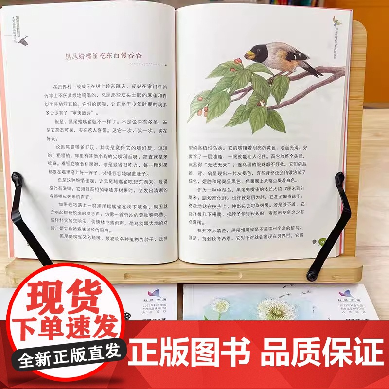 自然里的文学课全3册 何腾江著 自然观察笔记日记趣味百科蒲公英说走就走不怕脑震荡的啄木鸟谁都不敢和螳螂打架花鸟植物百科正高清大图