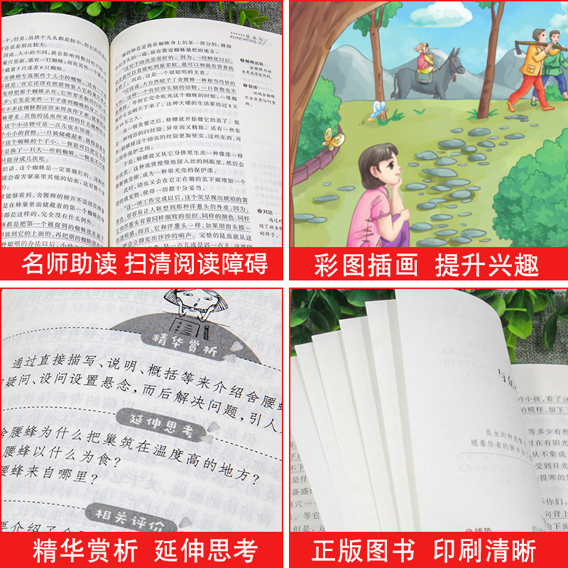 陶奇的暑假日记[冰心正版] [正版]陶奇的暑假日记冰心 儿童文学 三四五六年级阅读课外书必读老师经典暑期 适合小学生读的