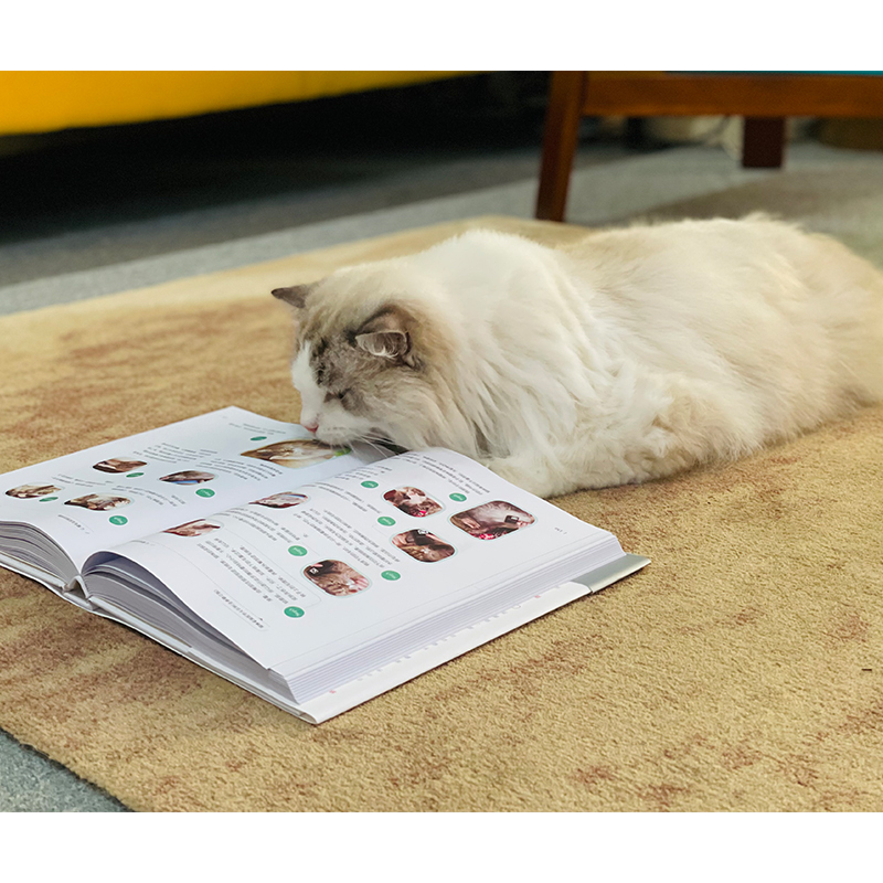 [醉染正版]猫咪家庭医学大百科 全新修订版 林政毅,陈千雯 著 生活休闲 生活 电子工业出版社