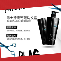 沙宣男士洗发水清爽劲醒460ml(洗发露洗头膏 新老包装随机发货)