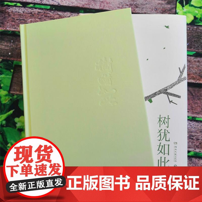 树犹如此精 白先勇著湖南文艺散文随笔选集中国现当代随笔以血泪与至诚写就的生命之歌高清大图