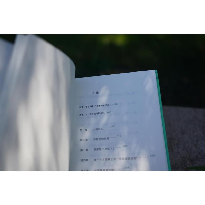 [醉染正版]新·零极限 透过未完成的清理,再度脱胎换骨的秘密 全新修订本 中国青年出版社 (美)乔·维泰利 著 彭展 译高清大图