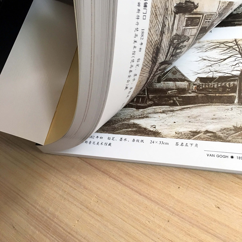 [正版]世界名画家全集 梵高/疯狂的天才画家 何政广 河北教育出版社 平装