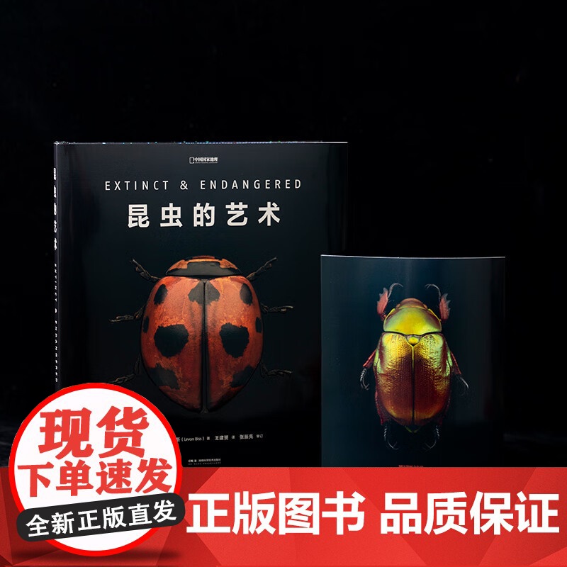 [央视网]昆虫的艺术 当代微距摄影画册 美国自然历史博物馆授权 无穷小亮张辰亮审订 科普读物关于昆虫的书籍中国国家地理D高清大图