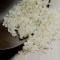 [江苏乡村振兴][财政集采][沭阳]虞美人 虾园鸿大米 5kg
