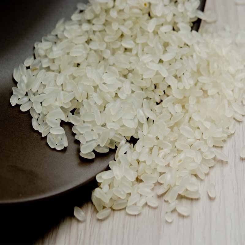 [江苏乡村振兴][财政集采][沭阳]虞美人 虾园鸿大米 5kg