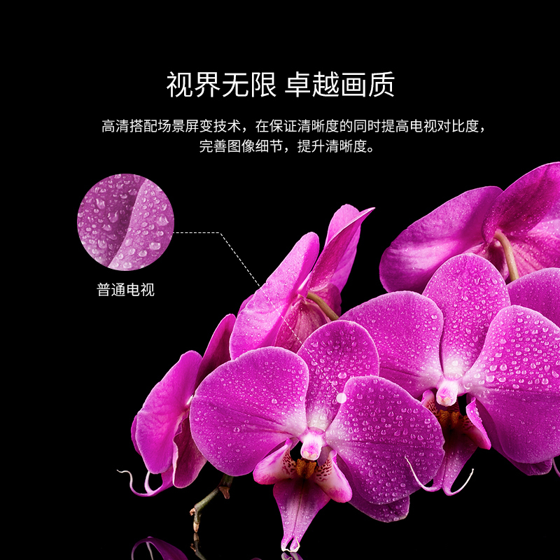 创维(Skyworth)·40E1C E1C 40英寸智能网络高清平板液晶电视机