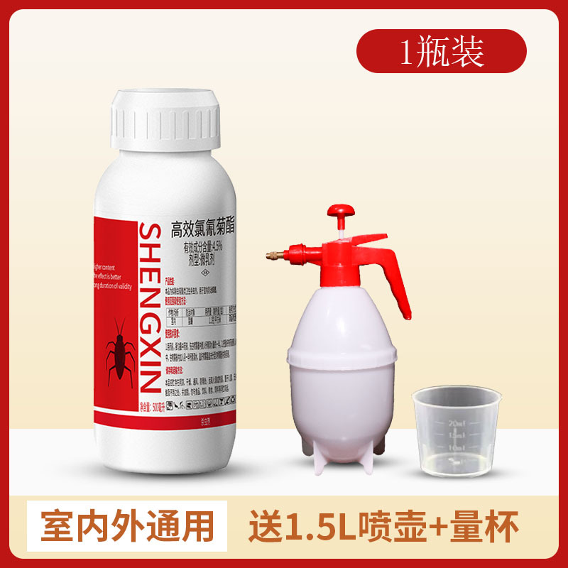 蟑螂药餐厅专用饭店商用蟑螂消杀一窝端家用全窝端杀小强克星神器