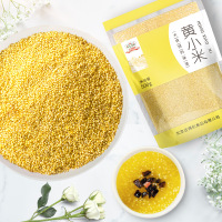 吉得利 黄小米 500g 糯小米食用月子粗粮一级东北特产无添加五谷杂粮新米粥伴侣