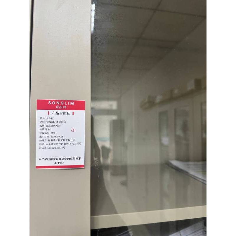 盛松林 文件柜 五层通玻对开 个
