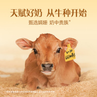 认养一头牛娟姗纯牛奶mini装125ml*10盒 4.0g蛋白 130mg钙质 纯娟姗牛乳 浓醇营养
