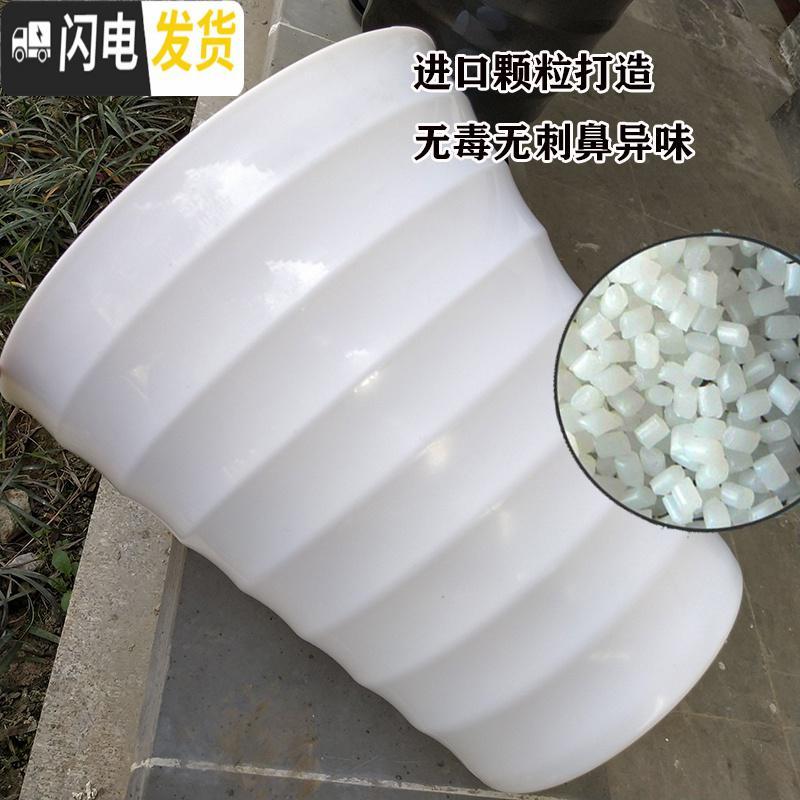 三维工匠超特大号螺纹型花盆盆景果树大型植物落地高筒加厚仿陶瓷塑料花盆 70实惠选白色5个+托+送肥+工具+壶 花盆容器