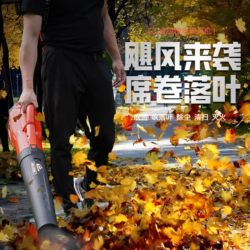 凯姿(KAZZ)KZ950L 40V吹风机 3档风力 10Ah背包电池 单位:台高清大图