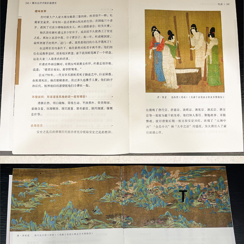 [正版]在古诗词里的盛唐史 假如历史是首诗 儿童绘本中国古代历史故事类书籍 中国历史变迁中小学生青年少年读物