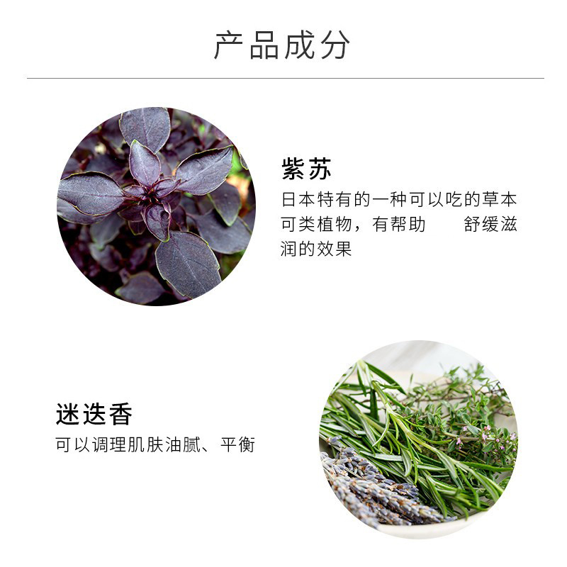 COSME DECORTE 黛珂 植物韵律保湿水乳套装 清爽型 护肤套装