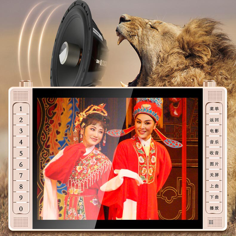 金正老人看戏机大屏幕便携式手提移动电视老年人唱戏机视频播放器广场舞音响 22英寸普通版+32GU盘