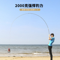 荷韵 （金）28调超轻超细超硬鲫鱼竿台钓竿进口钓鱼竿竞技竿