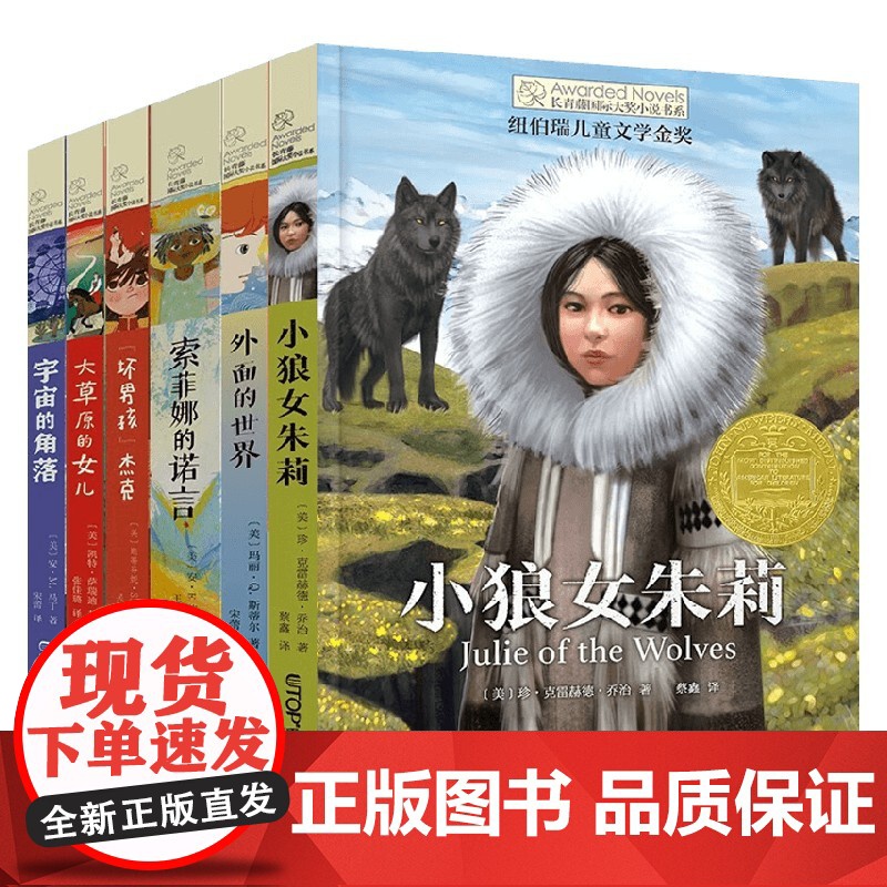 长青藤国际大奖小说书系 第十六辑 共6册 11-14岁 安·M.马丁等 著 儿童文学高清大图