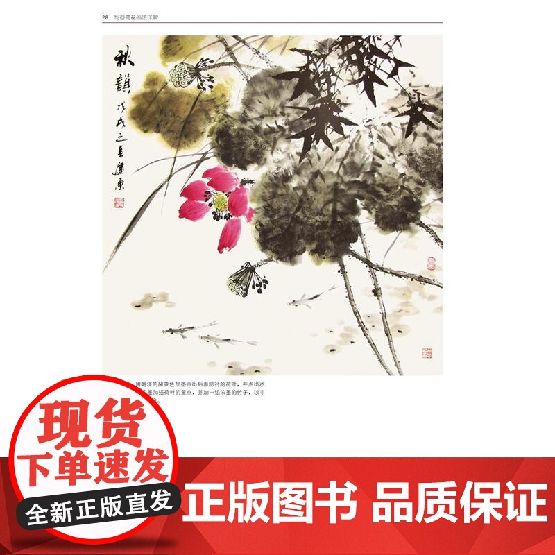 写意荷花画法详解 孙建东写意荷花画法步骤构图技巧用笔用墨技法教学技法范图国画名师技法详解丛书高清大图