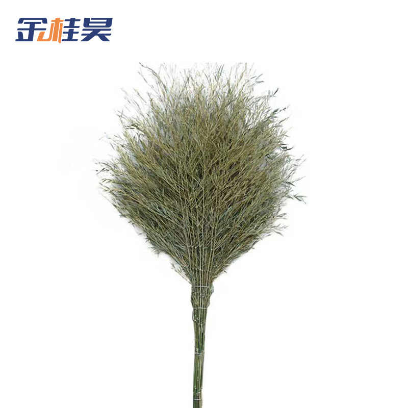 金桂昊 大扫把 一体带叶5斤重 把高清大图