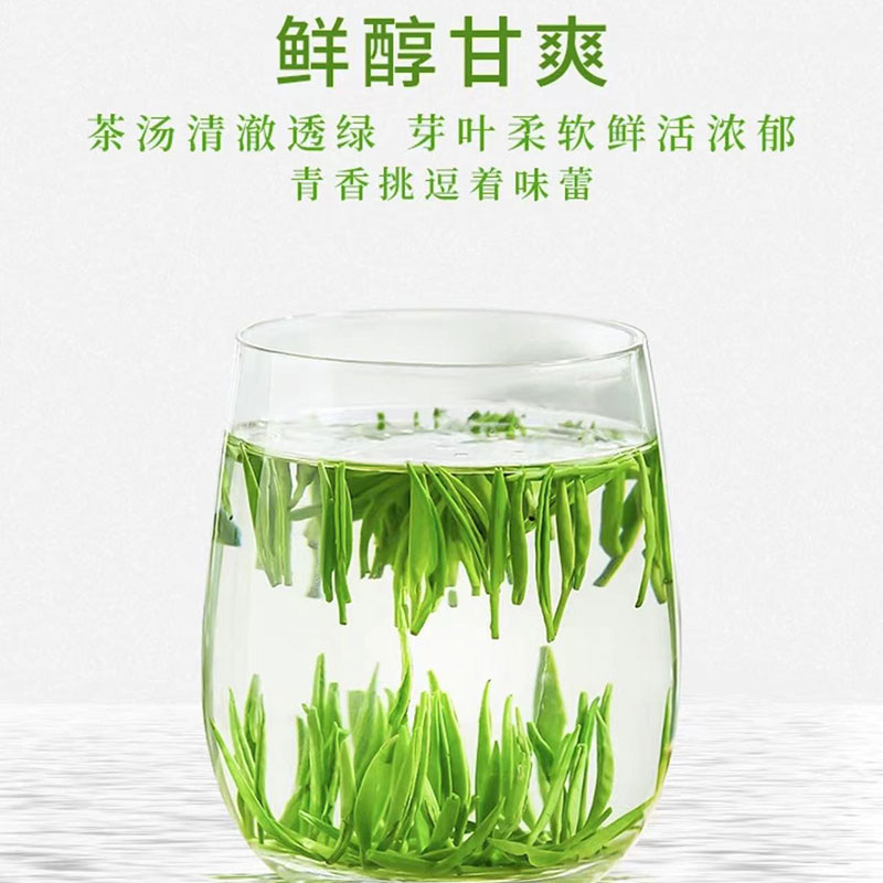 知茶茶叶雀舌绿茶罐装625g罐早春明前嫩芽绿茶高清大图