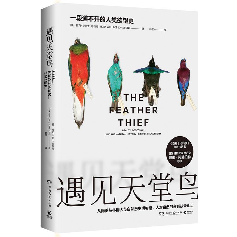 [正版] 遇见天堂鸟 柯克 华莱士 约翰逊 著 纪实文学书籍**书 一段避不开的人类欲望史从南美丛林到大英自然历史博物馆