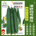 蔬菜种子四季播种阳台农家盆栽香菜菠菜生菜韭菜小葱草莓籽孑大四 均码 津研四号黄瓜约30粒