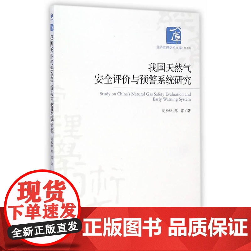 我国天然气安全评价与预警系统研究