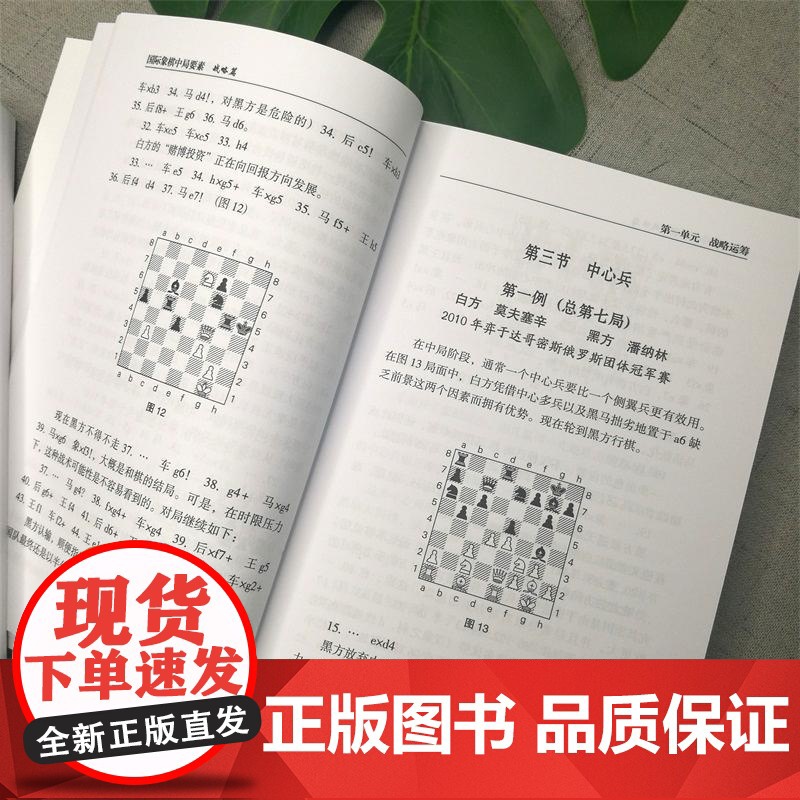 国际象棋中局要素 战略篇 实战棋手必修读物 林峰 编 国际象棋入门教程书籍 国际象棋战术手册 国际象棋书小学生教材国际象高清大图