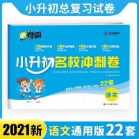 小升初名校冲刺卷 语文 六年级小升初模拟试卷语数英必刷题六年级暑假衔接毕业总复习资料
