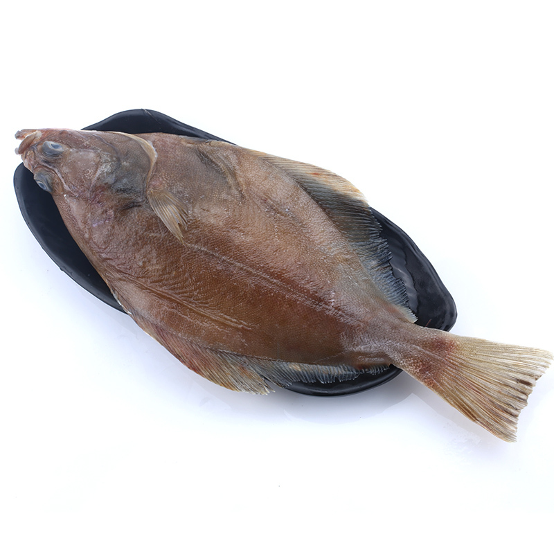 偏口鱼海捕野生海鲜鱼类长脖老板鱼海鱼新鲜鱼平鱼一斤装比目鱼1斤一