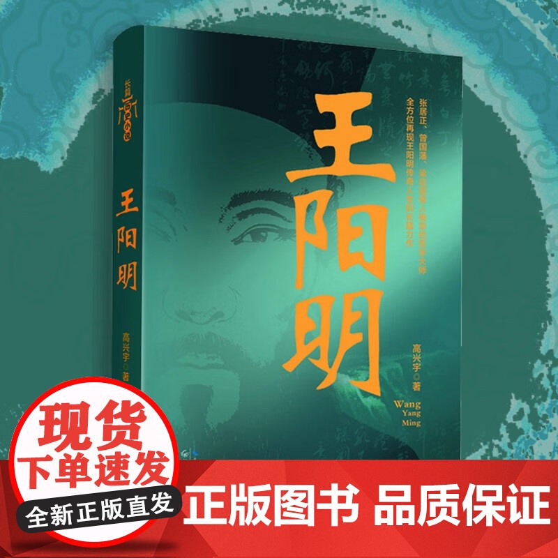 王阳明 高兴宇 著 小说高清大图
