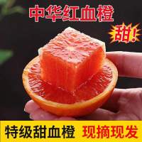 新鲜中华红血橙 5斤 单果60-70mm 橙子 红心橙子 新鲜水果 陈小四水果