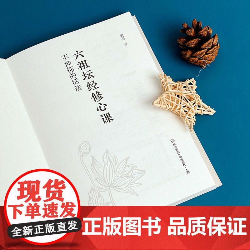 不抑郁的活法 六祖坛经修心课 唤醒身心潜藏活力 心灵疗愈励志经典书 陈坤 费勇作品 六祖坛经入门读物 华东师范大学出版社高清大图