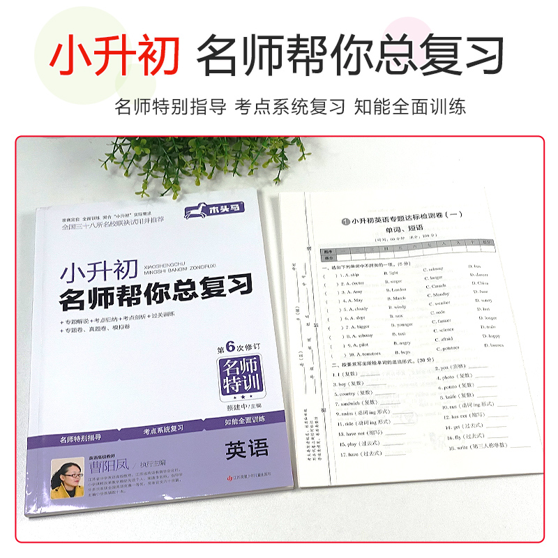 小升初总复习.英语 小学升初中 [正版]2023木头马小升初名师帮你总复习名师特训英语小学六年级上下册语法短语句式考点解高清大图