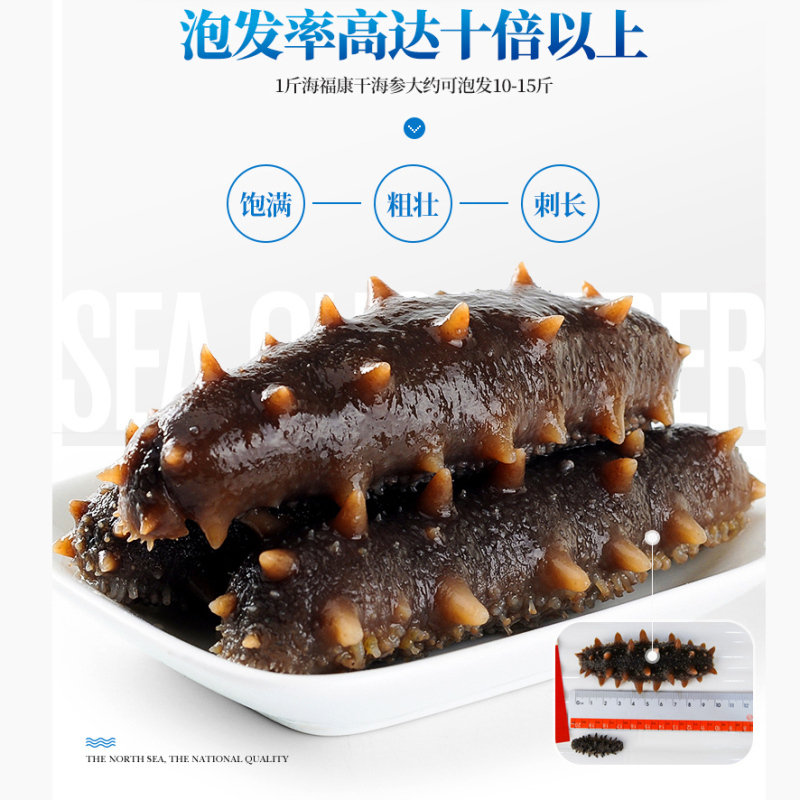 海福康 70-80头特价款海参 饱满肥厚 参刺挺拔 肉质Q弹 7年生淡干海参每500g