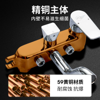 东鹏卫浴 卫浴花洒套装 全铜淋浴花洒套装 花洒喷头沐浴 挂墙式花洒套装