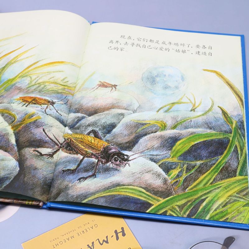 好斗乐师蟋蟀 [正版]昆虫绘美绘本好斗乐师 儿童绘本科普百科精装硬壳硬皮 3-6岁儿童阅读 亲子阅读幼儿早教启蒙科普绘本高清大图