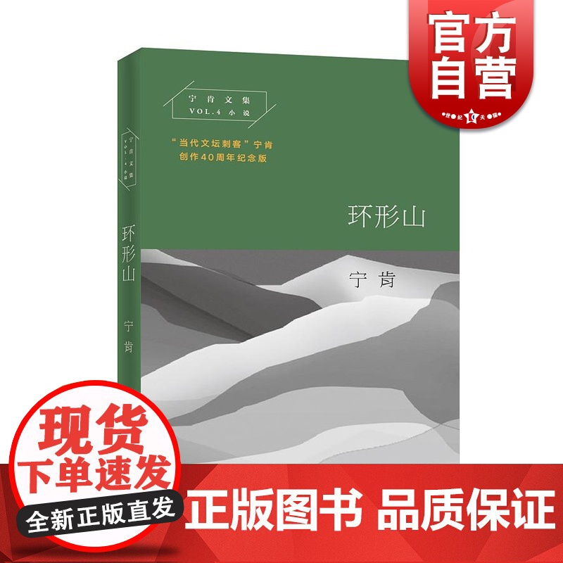 环形山 宁肯文集 当代文坛刺客 长篇小说 黑色幽默悬疑小说 荒诞小说 中国当代文学小说 上海文艺出版社高清大图