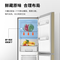 澳柯玛176升BCD-176NE双开两门冷藏冻小型电冰箱家用租房宿舍单人