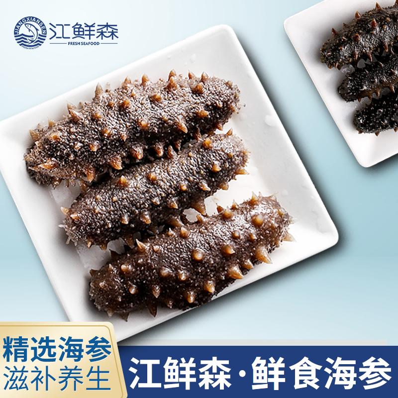 江鲜森国标鲜食海参500g8-10只固形物大于80%底播刺参