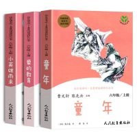 六年级上人教版快乐读书吧童年爱的教育小英雄雨来老师推荐课外书 童年[单本]